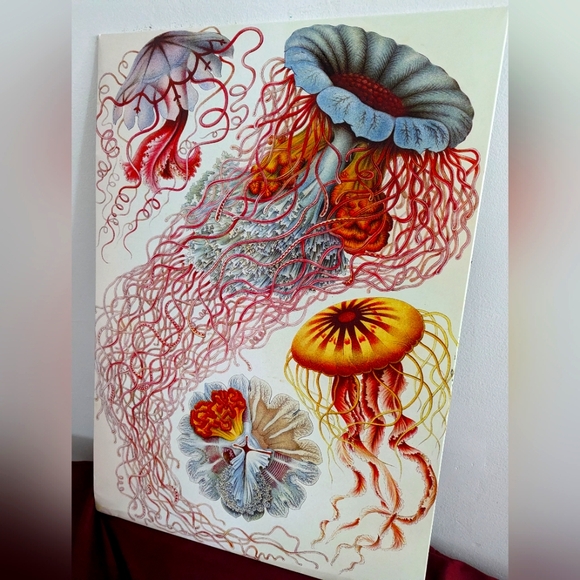 Two displate posters - Picture 1 of 2